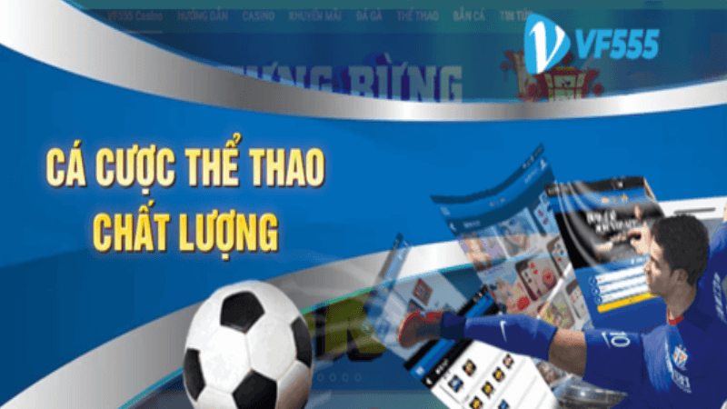 Tổng quan về cá cược thể thao vf555